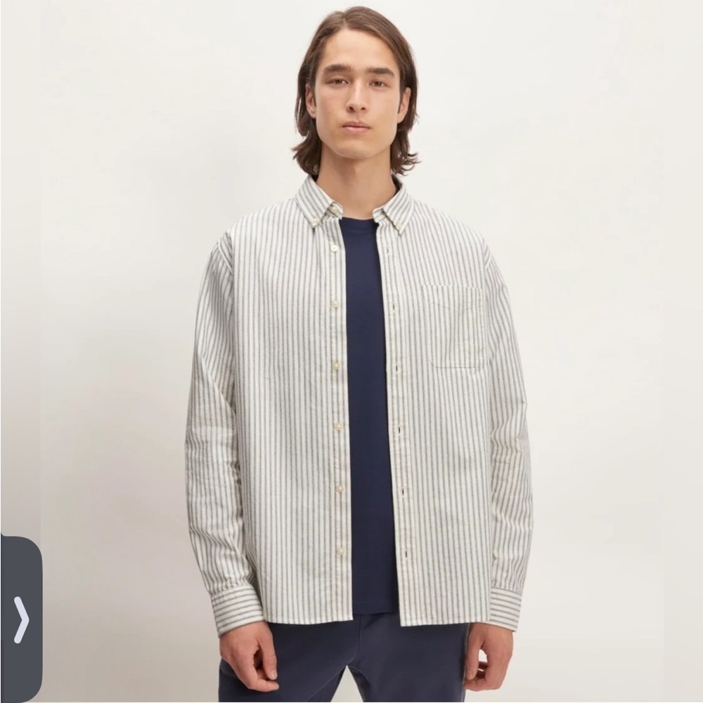 Everlane Oxford  White and Gray Striped Casual Shirt